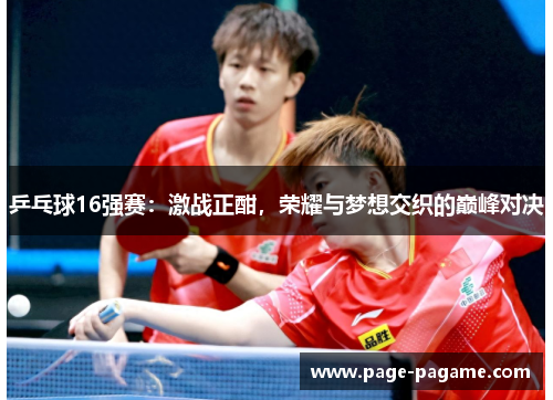 乒乓球16强赛：激战正酣，荣耀与梦想交织的巅峰对决