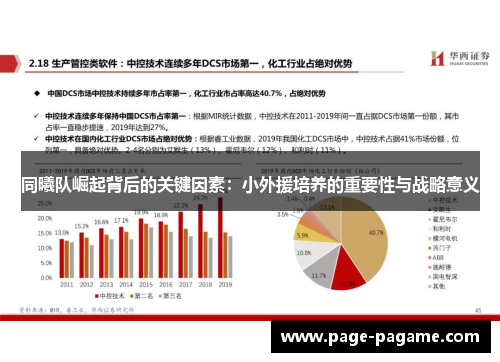 同曦队崛起背后的关键因素：小外援培养的重要性与战略意义