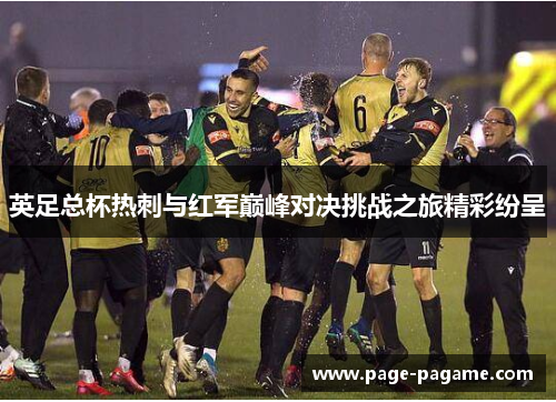 英足总杯热刺与红军巅峰对决挑战之旅精彩纷呈