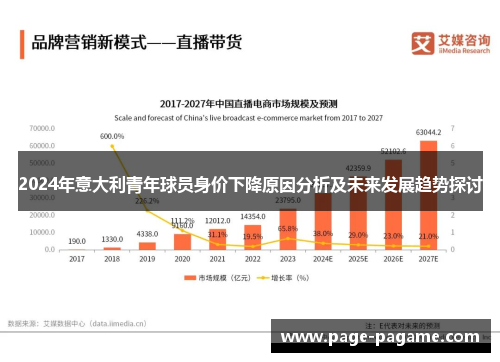 2024年意大利青年球员身价下降原因分析及未来发展趋势探讨