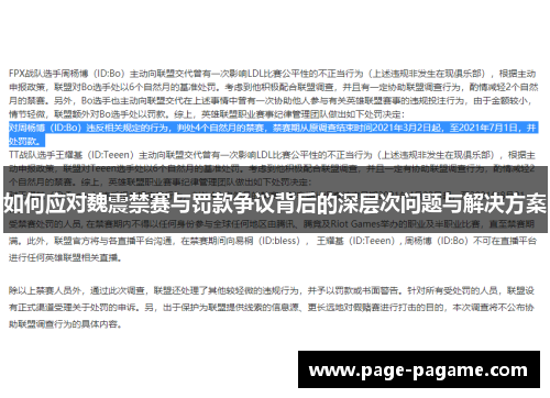 如何应对魏震禁赛与罚款争议背后的深层次问题与解决方案