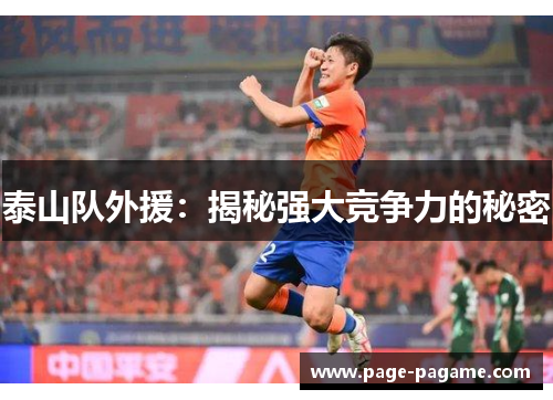 泰山队外援：揭秘强大竞争力的秘密