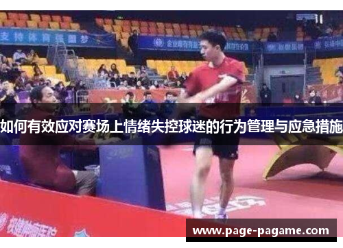 如何有效应对赛场上情绪失控球迷的行为管理与应急措施