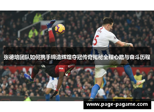 张德培团队如何携手缔造辉煌夺冠传奇揭秘全程心路与奋斗历程