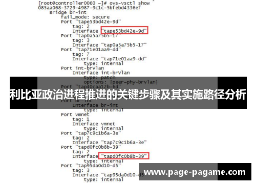利比亚政治进程推进的关键步骤及其实施路径分析
