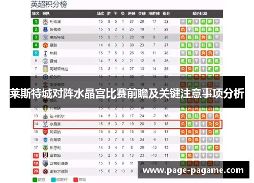 莱斯特城对阵水晶宫比赛前瞻及关键注意事项分析