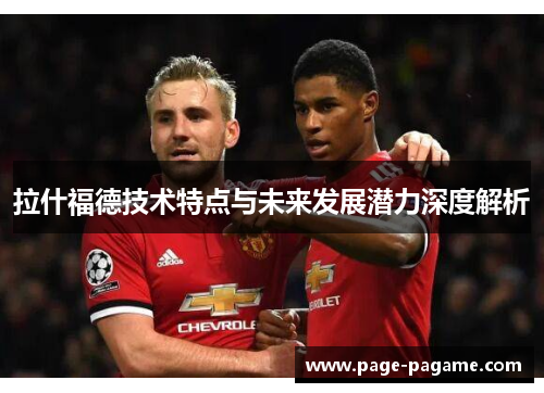 拉什福德技术特点与未来发展潜力深度解析