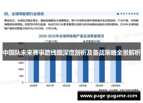 中国队未来赛事路线图深度剖析及备战策略全景解析