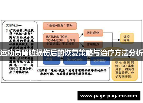 运动员肾脏损伤后的恢复策略与治疗方法分析