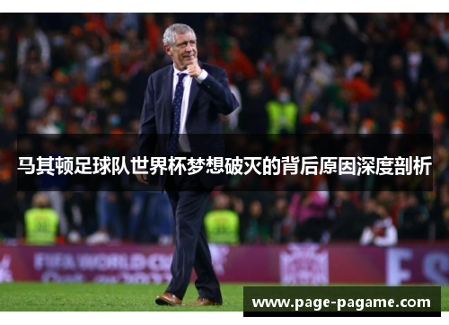 马其顿足球队世界杯梦想破灭的背后原因深度剖析