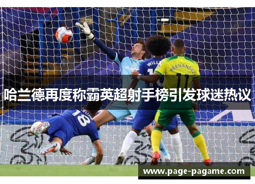 哈兰德再度称霸英超射手榜引发球迷热议