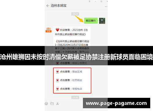 沧州雄狮因未按时清偿欠薪被足协禁注册新球员面临困境